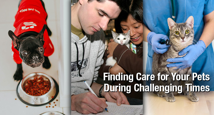 Finding Care for Your Pets During Challenging Times