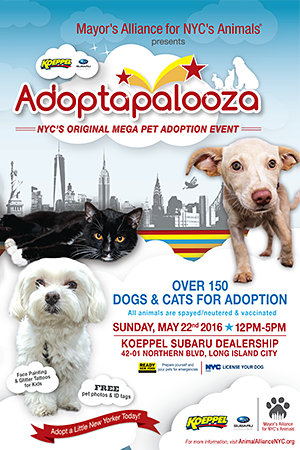 Adoptapalooza Long Island City - Sunday, May 22, 2016