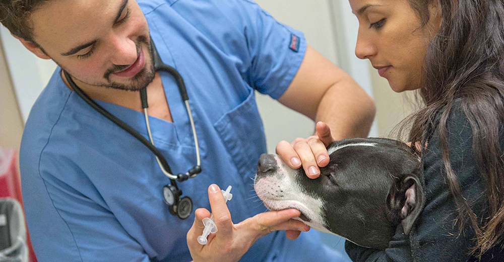 Reduced-Cost Veterinary Care