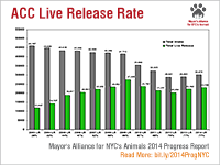 AC&C Live Release Rate