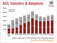 AC&C Transfers & Adoptions
