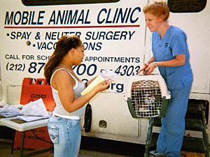 A cat is returned to her owner/guardian after spay surgery.