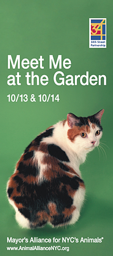 Banners promoting the Adopt-A-Cat event were hung from lamp posts throughout the high-traffic Madison Square Garden/Herald Square area.