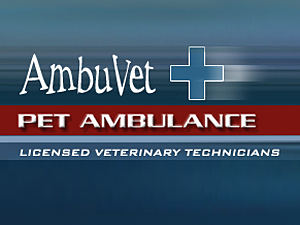 AmbuVet Pet Ambulance