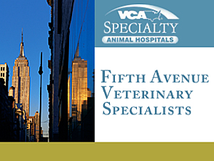 Fifth Avenue Veterinary Specialists