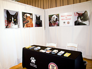 The Mayor's Alliance booth gave event-goers a place to learn more about efforts to save lives of NYC's homeless animals. (Photo by Steven Fromewick, NYPetShots)
