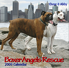 This beautiful full-color 2009 calendar from Boxer Angels Rescue is just one of many calendar options available from APOs this year.