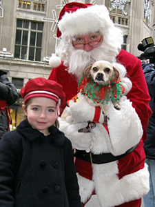The Mayor's Alliance is promoting pet adoptions in a big way this holiday season! Santa and friends took the message to NYC's busy Fifth Avenue on December 9. (Photo by Jessica Del Guercio)