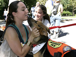 Come on out to Adoptapalooza in Washington Square Park on May 22 with your family (and your family dog) to have some fun, learn something new, and maybe even meet your furry match! (Photo by Rick Edwards)