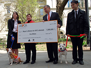Ed Sayres from the ASPCA, along with his ASPCA colleagues Rebecca McNeill and Mark Knight and adoptable dogs Spirt and Chrysler, presents Jane Hoffman from the Mayor's Alliance for NYC's Animals with a check for $1 million, a continuation of the ASPCA's 2005 five-year, $5 million grant. (Photo by Robin Fostel, ASPCA)