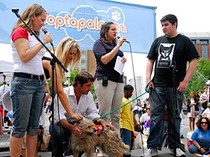 Sheryl Matthys of Leashes and Lovers, Jessica Del Guercio of M. Silver Associates, and Prince Lorenzo Borghese of ABC's 'The Bachelor' help AC&C's Elisabeth Manwiller and Sam Wagner introduce adoptable dog Remmy to the Adoptapalooza crowd. Remmy was adopted that day! (Photo by Dana Edelson)