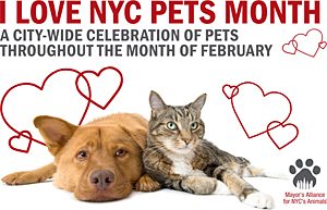 I Love NYC Pets Month
