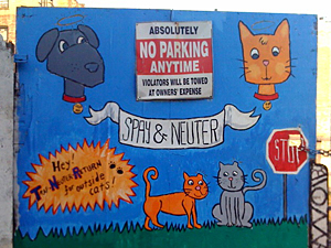 One of the new panels in the Crow Hill Mural Project promotes spay and neuter for all cats and dogs. (Photo by Jesse Oldham)