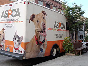 Schedule your ASPCA Mobile Spay/Neuter Clinic TNR appointments before reserving your traps, and be sure to let the ASPCA know as soon as possible if you won't be able to use any of your scheduled appointments. (Photo by Amy Angelo)