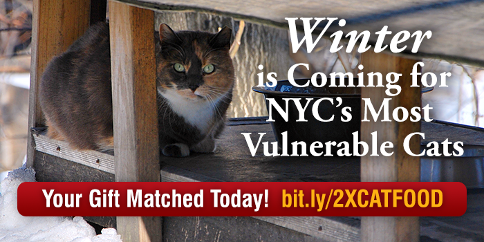 Banner-NYCFCI-FoodMatching2014-700