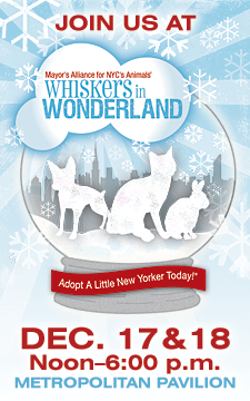 Whiskers in Wonderland - December 17 & 18, 2011