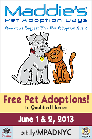 Maddie's Pet Adoption Days - June 1 & 2, 2013