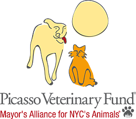 Picasso Veterinary Fund of the Mayor's Alliance for NYC's Animals