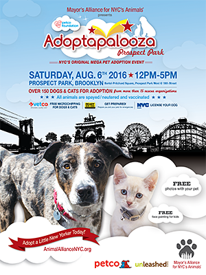 Adoptapalooza - Saturday, August 6, 2016