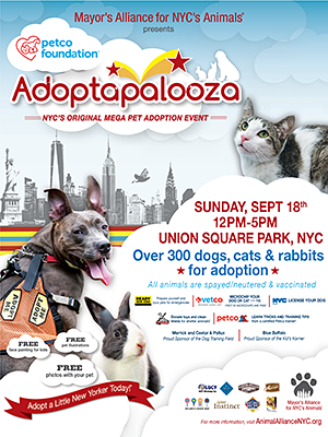 Adoptapalooza Union Square - Sunday, September 18, 2016