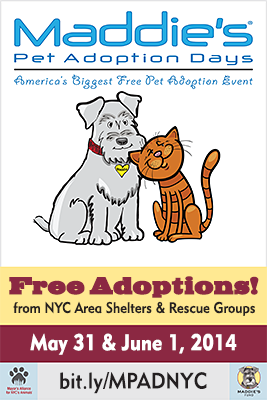 Maddie's Pet Adoption Days - New York City - May 31 & June 1, 2014