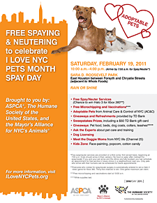I Love NYC Pets Month Spay Day
