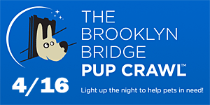 The Brooklyn Bridge Pup Crawl - April 16, 2011