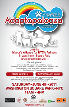 Adoptapalooza - June 4, 2011 - Washington Square Park