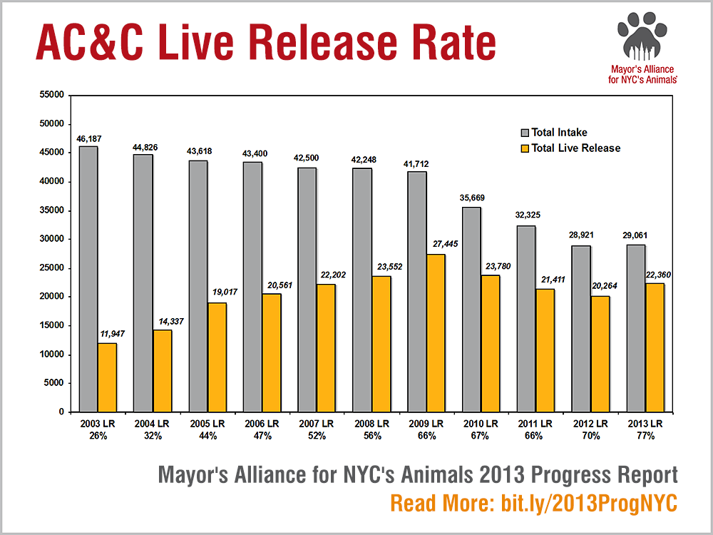 AC&C Live Release Rate