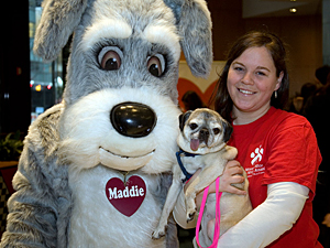 Tuna, a Picasso Veterinary Fund dog, basks in the attention of the Mayor's Alliance's Siobhan Healy and the Maddie's Fund mascot at the 'I Love NYC Pets' Month kick-off event at TD Bank on February 3. Tuna was adopted following the event. (Photo by Rick Edwards)