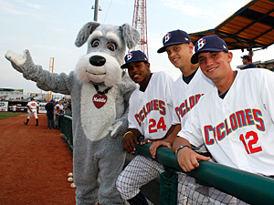 Bring your dog to MCU Park for Bark in the Park on August 24 to watch the Brooklyn Cyclones play ball! Don't have a canine companion, or want to have your pet microchipped? Dog and cat adoptions and low-cost microchipping will also be available at the event. (Photo by Rick Edwards)