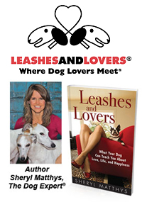 Leashes and Lovers