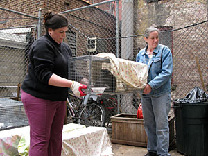 NYCFCI TNR Coach Susan Wright and gallery owner Kristine Woodward prepare to release one of the cats who had been trapped and sterilized. (Photo by Meredith Weiss)