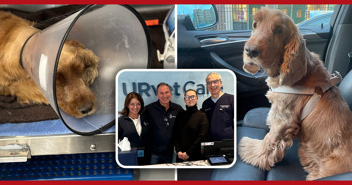 The URvet Care team that provided life saving care for Lary, a 12-year old Cocker Spaniel