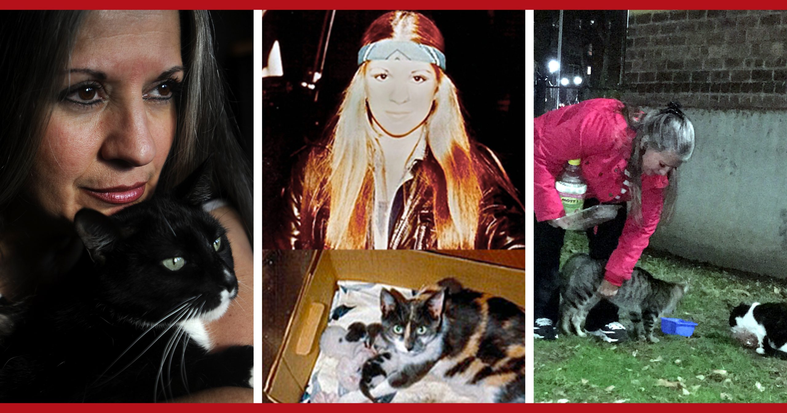 Debi Romano, Hero to NYC’s Community Cats