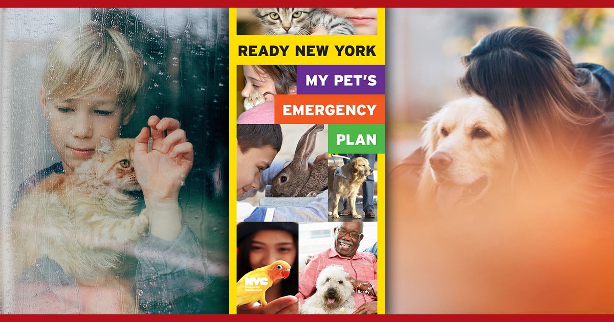 Ready New York: My Pet's Emergency Plan