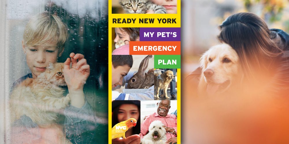 Ready New York: My Pet's Emergency Plan