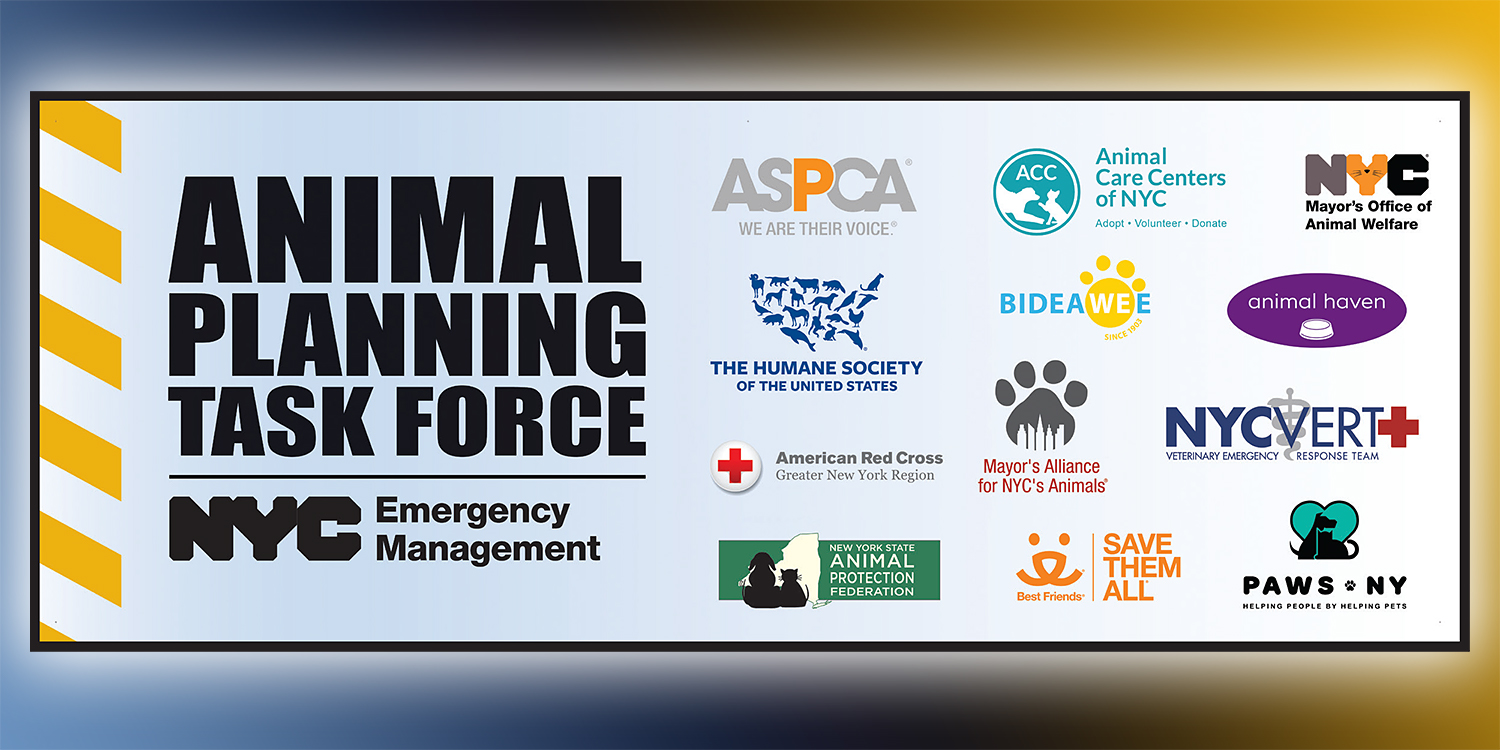 Alliance Works with Animal Planning Task Force to Assist During Pandemic
