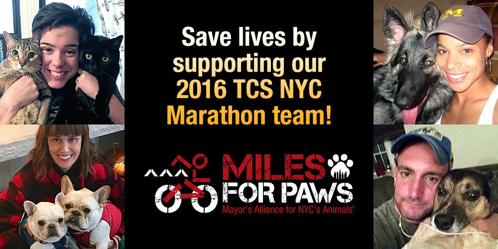 Miles For Paws 2016 TCS NYC Marathon team