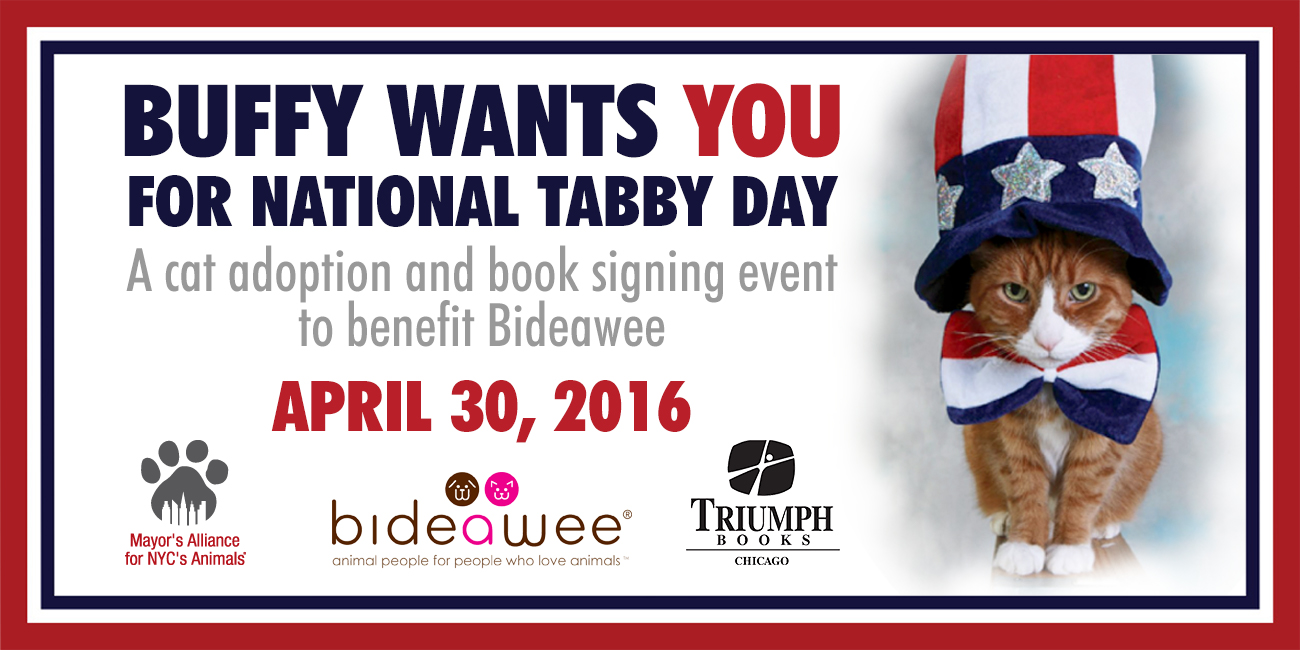 National Tabby Day - April 30, 2016