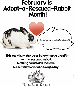 Adopt-a-Rescued-Rabbit Month
