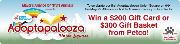 Enter to Win a $200 Adopatapalooza Gift Card or $300 Gift Basket from Petco!