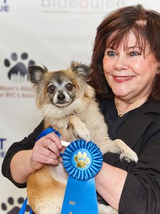 Penny Lou, an 8-year-old long-haired Chihuahua mix, won the "Best Loyal Friend" award at the "Best in Rescue" event on February 10, 2016. She is available for adoption from Bideawee. (Photo by Marshal Boprey)