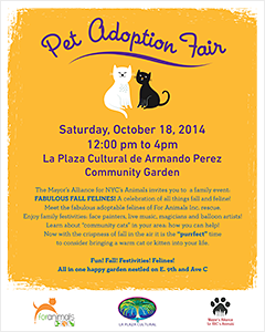 Fabulous Fall Felines Pet Adoption Fair - Saturday, October 18, 2014