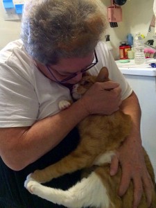 Thanks to the Alliance's Helping Pets and People in Crisis program, Petra Sanchez's beloved cats went to temporary homes until Petra got the in-hospital care she needed and was able to return home. (Photo by Jenny Coffey)