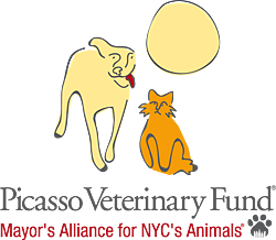 Picasso Veterinary Fund of the Mayor's Alliance for NYC's Animals