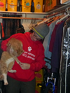 Jenny Coffey from the Mayor's Alliance for NYC's Animals finally found Paris hiding in a closet on Friday, March 14. (Photo by Debbie Fierro)