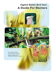 "Captive Exotic Bird Care: A Guide for Shelters" was written specifically to help animal care workers and shelter staff provide the best possible care and placement for parrots and other exotic birds. 