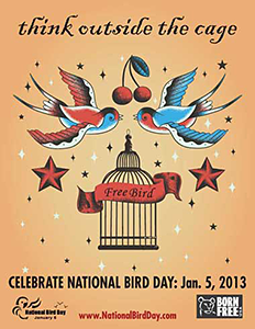 National Bird Day - January 5, 2013