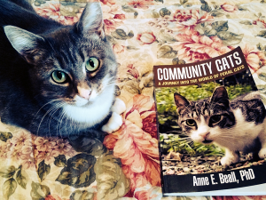 Formerly stray and found living in a community cat colony, foster cat Moo Shu gives this book two paws up! (Photo by Evon Handras)